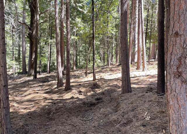 Property at 23682 Buckeye Cir, Twain Harte, CA 95383