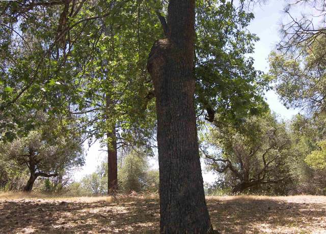 Property at Undisclosed address, Groveland, CA 95321