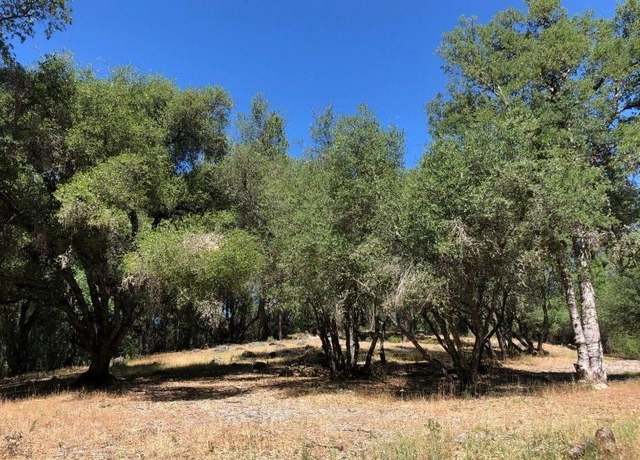 Property at 21930 Lyons Bald Mtn, Sonora, CA 95370