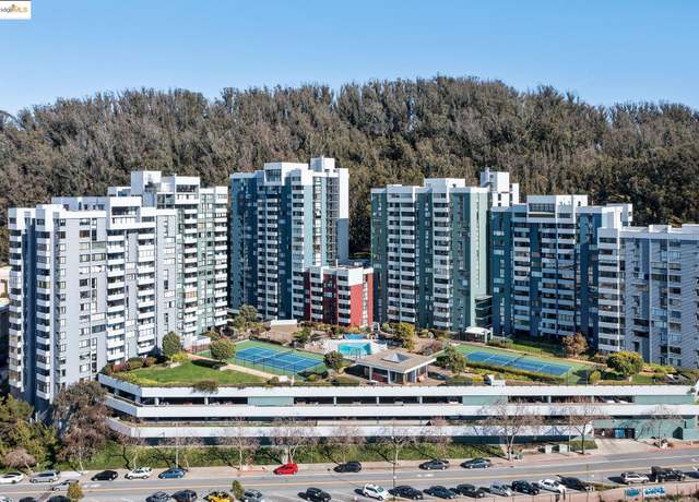 Property at 555 Pierce St #203, Albany, CA 94706, 1 bed, 1 bath