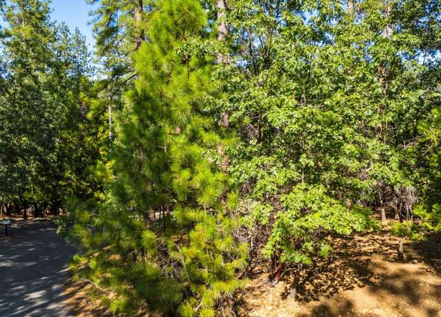 Property at 23983 Pack Trail Rd, Sonora, CA 95370