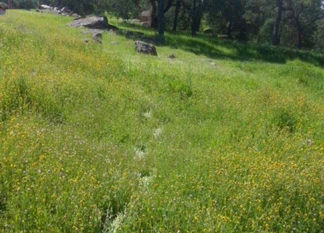 Property at 56 Deer Hollow Trl, Browns Valley, CA 95918
