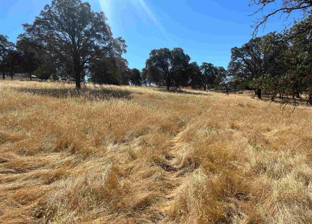 Property at 3178 Granite Spgs, Coulterville, CA 95311