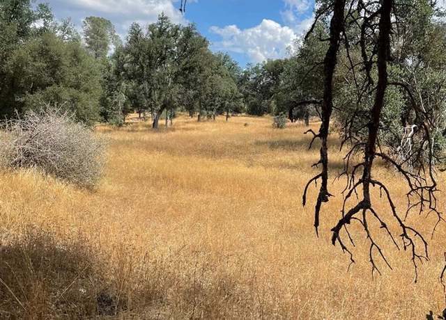 Property at 10217 Bull Creek Rd 2s05, Coulterville, CA 95311