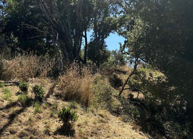 Property at Spring Rd, Orinda, CA 94563