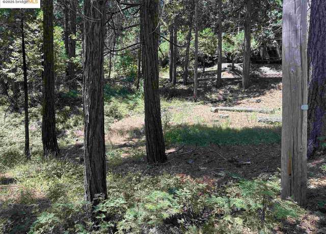 Property at 25391 Rebekah Rd, Long Barn, CA 95335