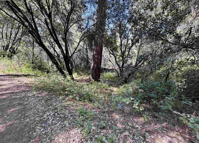 Property at 21893 Sawmill Flat Rd, Sonora, CA 95370