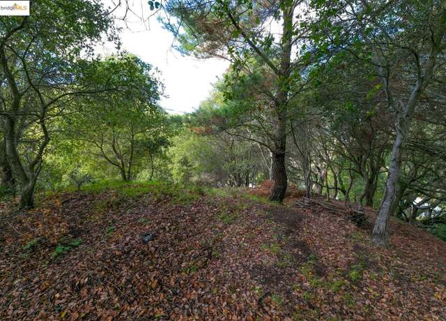 Property at 26 Lucille Way, Orinda, CA 94563