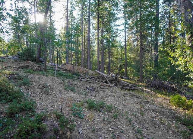 Property at 157 Canyon Vw, Hathaway Pines, CA 95233