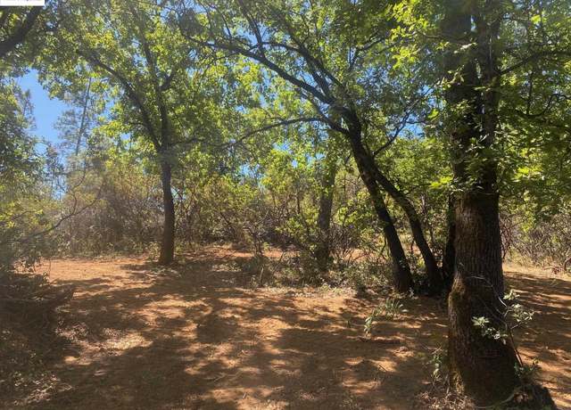 Property at 1636 Nickerson, Murphys, CA 95247