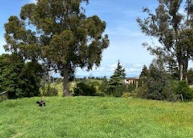 Property at 209 N Rancho Pl, Pinole, CA 94803