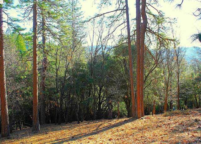 Property at 23753 Rusty Spur Rd, Sonora, CA 95370