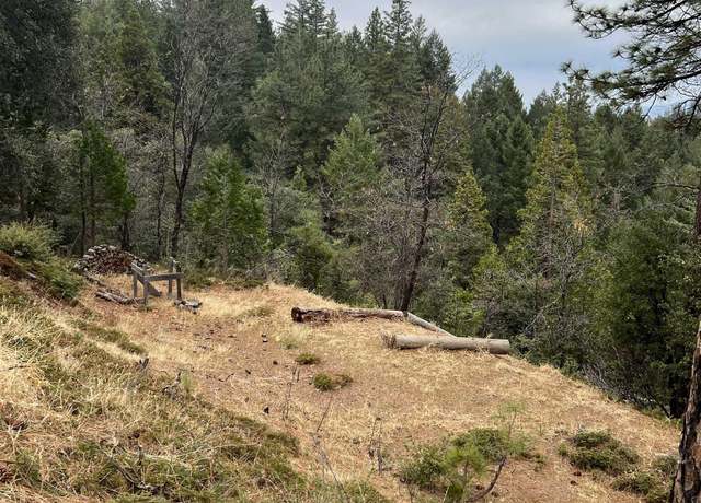Property at 19262 Tanglewood Dr, Twain Harte, CA 95383