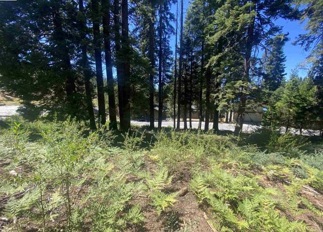 Property at 33994 Leland Meadow Rd, Pinecrest, CA 95364