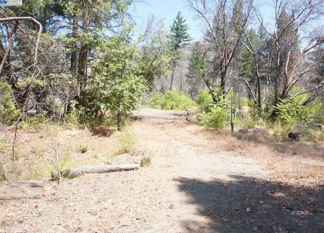 Property at 250 Bear Spgs, Junction City, CA 96048