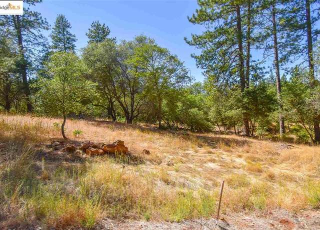Property at Par B Sawmill Flt, Sonora, CA 95370