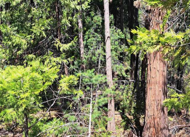 Property at Undisclosed address, Pollock Pines, CA 95726