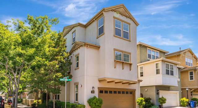Photo of 40252 Bonica Rose Ter, Fremont, CA 94538