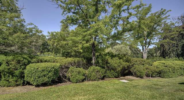 Photo of 2607 Saklan Indian Dr #2, Walnut Creek, CA 94595