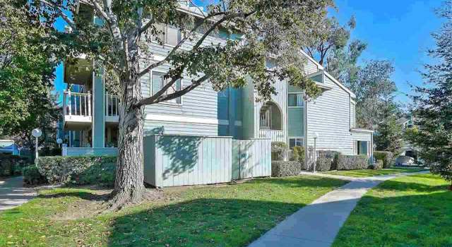 Photo of 3575 Buttonwood Ter #203, Fremont, CA 94536