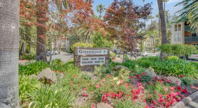 Photo of 150 Sharene Ln #312, Walnut Creek, CA 94596