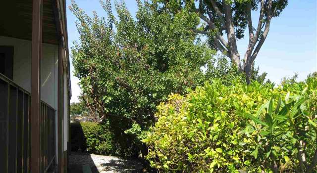 Photo of 29313 Nantucket, Hayward, CA 94544
