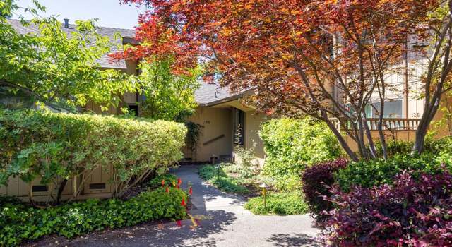 Photo of 128 Alamo Sq, Alamo, CA 94507