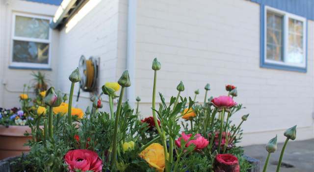 Photo of 6301 Kensington Ave, Richmond, CA 94805