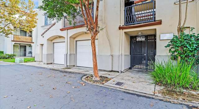 Photo of 35530 Monterra Ter #302, Union City, CA 94587