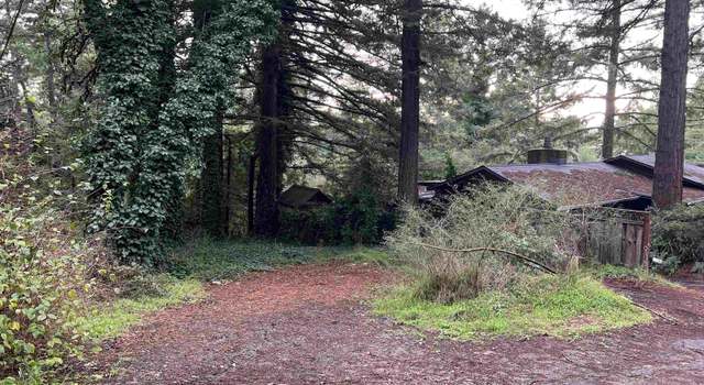 Photo of 229 Huckleberry Trl, Woodside, CA 94062