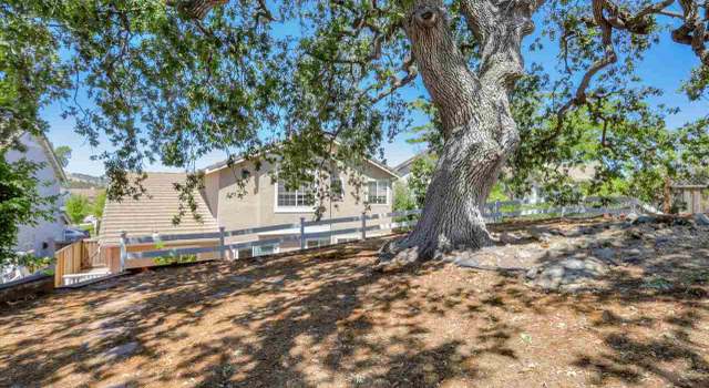 Photo of 313 Liveoak Ct, Martinez, CA 94553