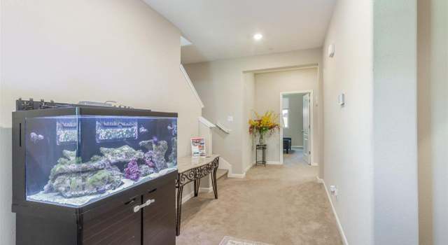 Photo of 1049 Alloro Dr, Brentwood, CA 94513