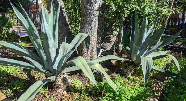 Photo of 2029 9th Ave, Oakland, CA 94606