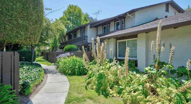 Photo of 366 Serramonte Ter, Fremont, CA 94536