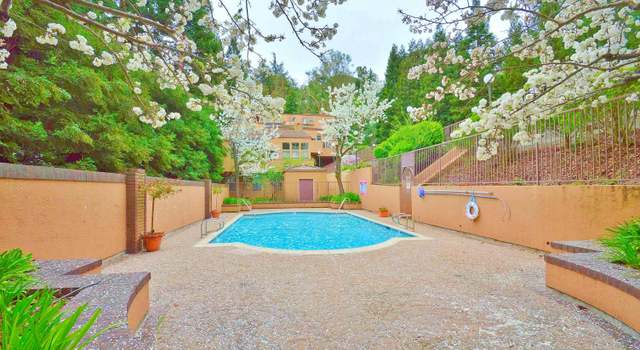 Photo of 3279 Mt Diablo Ct #13, Lafayette, CA 94549