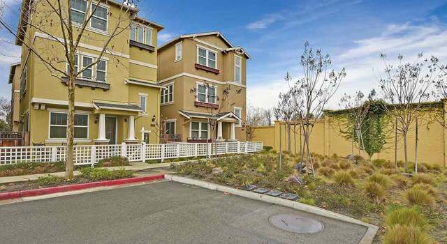 Photo of 40818 Tomales Ter, Fremont, CA 94538