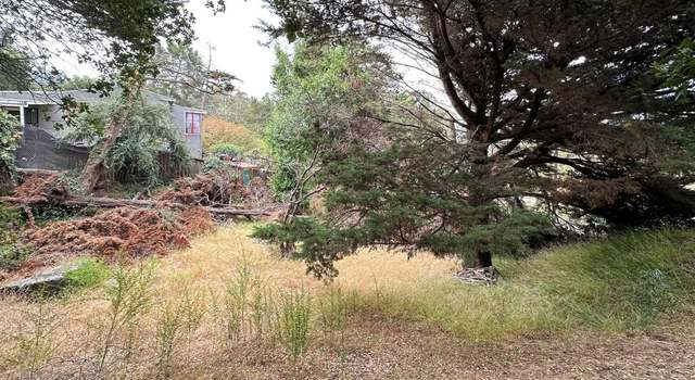 Photo of Mountain Blvd, Oakland, CA 94611