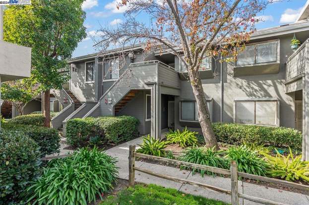 California patio near me best sale