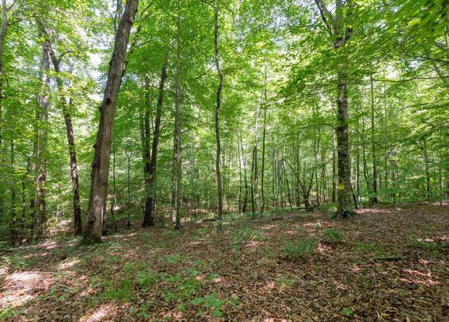 Property at 6910 Long Meadow Ln, Whitsett, NC 27377