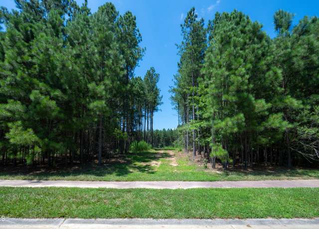 Property at 247 Larkington Dr, Siler City, NC 27344