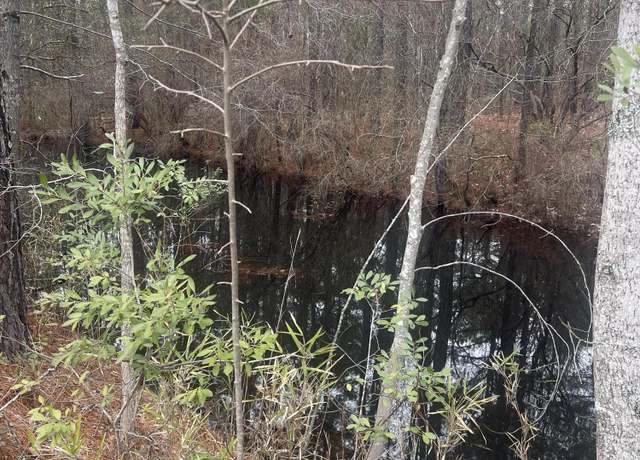 Property at 0 Bumpy Ln, Sanford, NC 27332