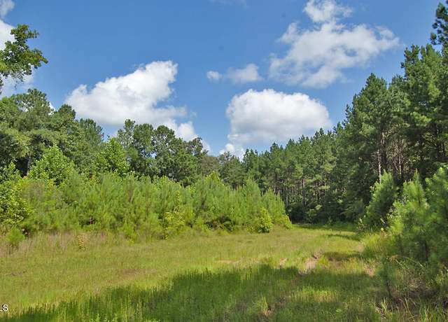 Property at 0 Buckhorn Rd, Bullock, NC 27507