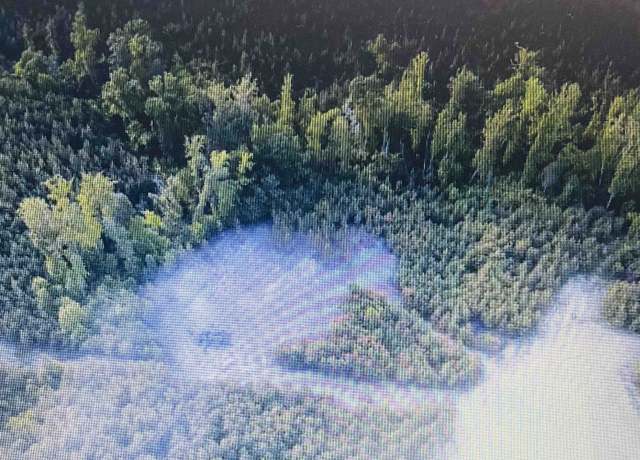 Property at 916 Paschall Rd, Yanceyville, NC 27379