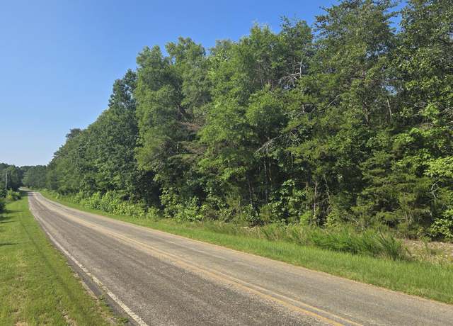 Property at 00 Robert Morgan Rd, Bullock, NC 27507