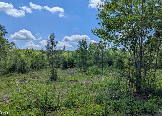 Property at 0 Cypress Creek Dr, Louisburg, NC 27549