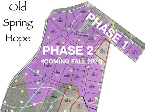 Property at Lot 4 Green Downs Trl, Spring Hope, NC 27882