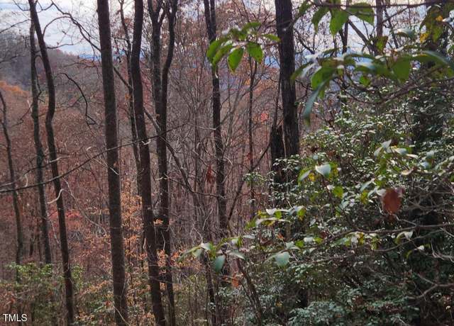 Property at 0 Bear Cove Cir, Bryson City, NC 28713
