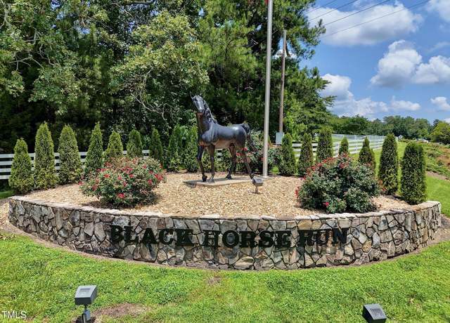 Property at 10 Ponny Ct, Bahama, NC 27503