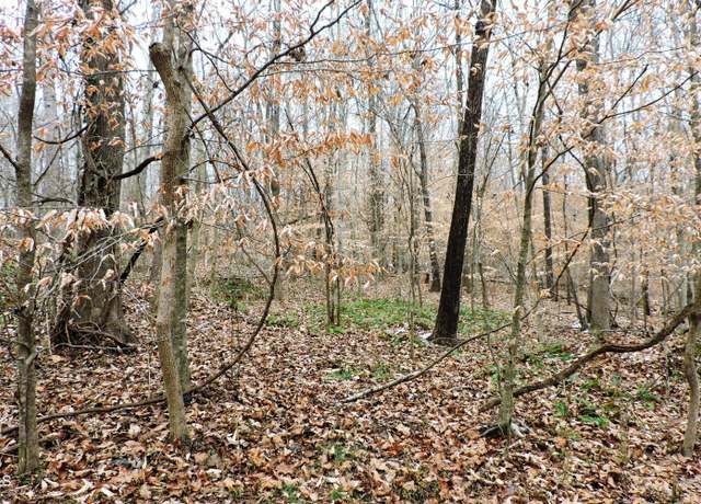 Property at 00 Canaan Cir, Hillsborough, NC 27278