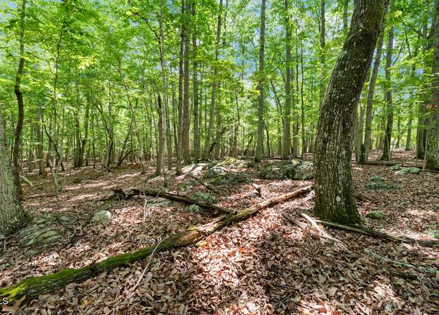 Property at 2853 Franklin Rd, Hillsborough, NC 27278